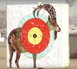 Los humanos también necesitamos señuelos.