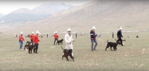 Una hermosa postal previa a la carrera