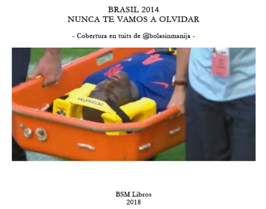 Libro Brasil 2014