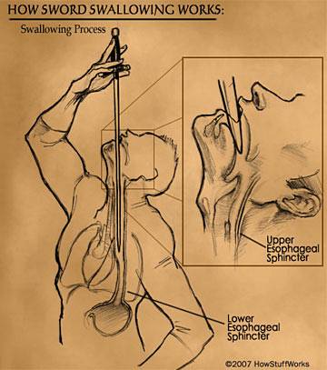 anatomia_de_un_traga_espadas