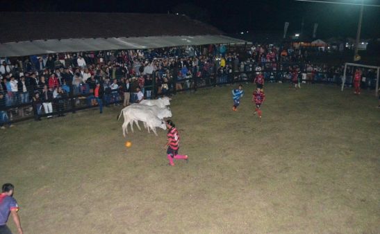 futbol-boi-expo-norte-paraguay-vaca-deporte-torneo
